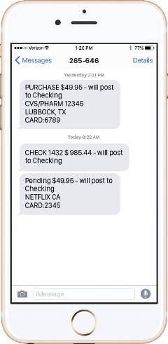 City Bank Text Alerts